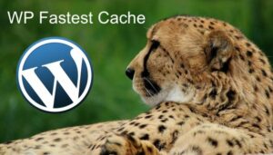 WP Fastest Cache En Hızlı Önbellek Kurulumu ve İzlenecek Yollar Nelerdir?