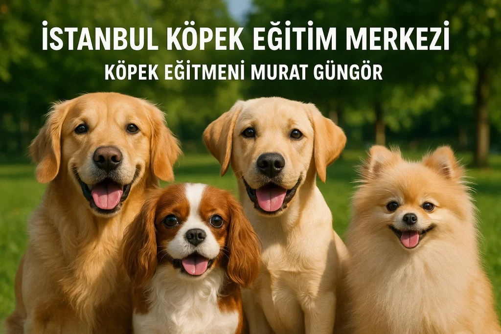 [Image: kopek-egitmeni-1024x683.webp]